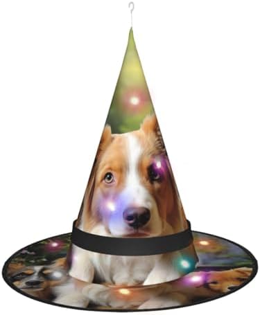 Cute Dog Halloween Witch Hat with LED Light