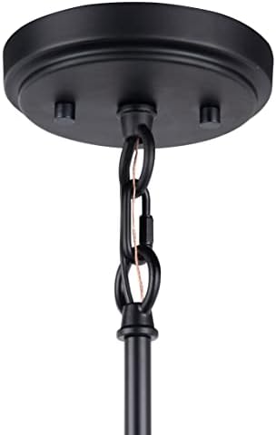 Ellie 5 Light Black Farmhouse Chandelier