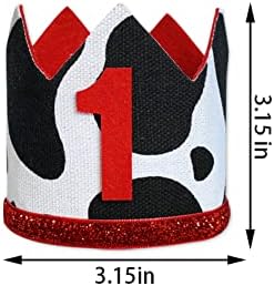 Baby 1st Birthday Party Hat Decorations
