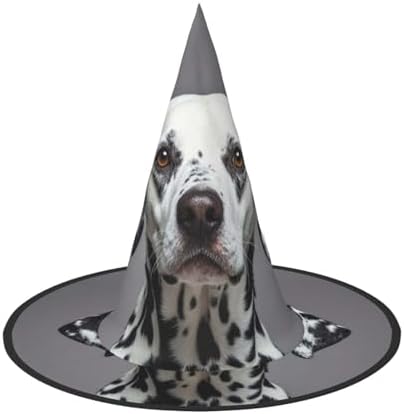 Witch Hats Halloween Cone Wizard Hat Dalmatian Costume