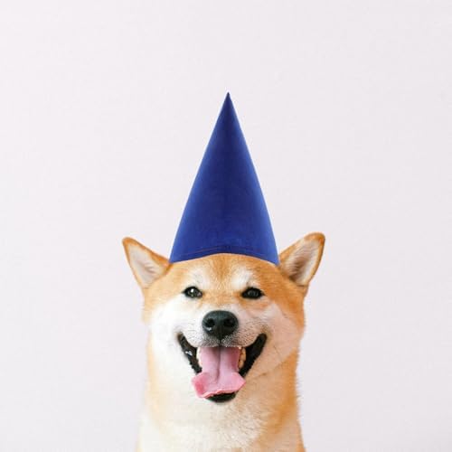LUOZZY 7Pcs Christmas Gnome Hats Felt Cone Hats for Party Costumes