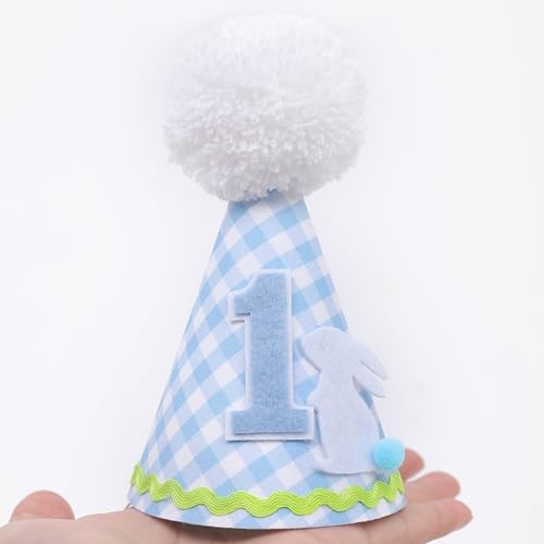 Petter Rabbit 1st Birthday Hat for Boys