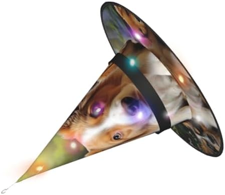 Cute Dog Halloween Witch Hat with LED Light