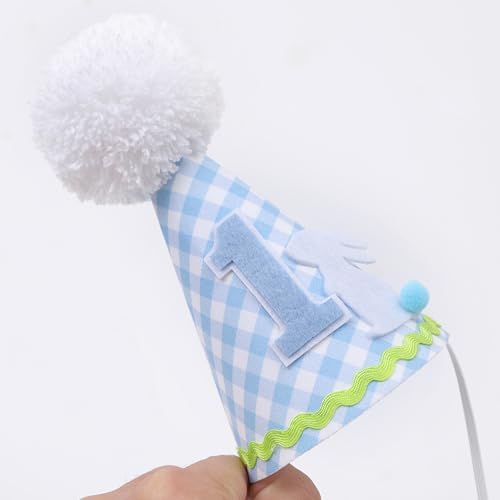 Petter Rabbit 1st Birthday Hat for Boys