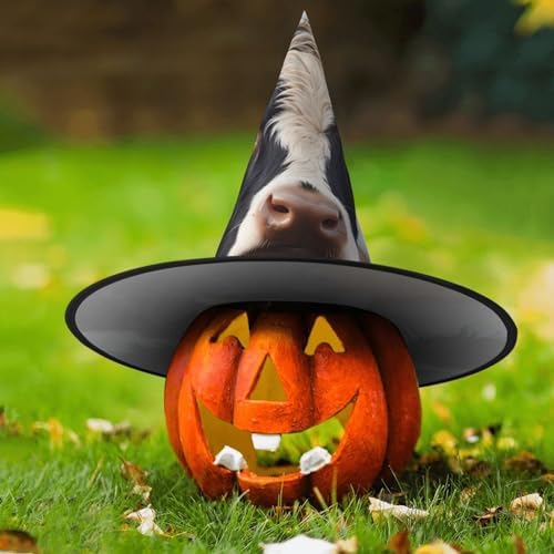 Cute Cow Witch Hat Costume Accessory for Halloween