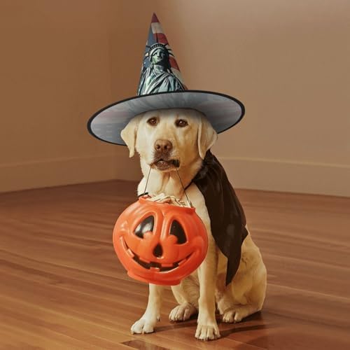 Witch Hats Halloween Costume Cosplay Adult Wizard Hat
