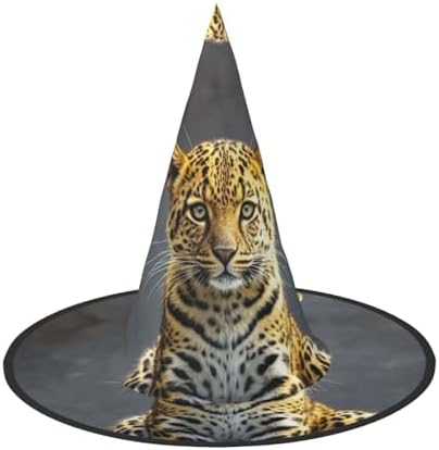 Cute Leopard Witch Halloween Cone Hat Costume