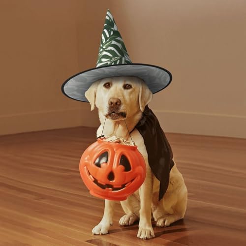 Witch Hats Halloween Cone Wizard Hat Green White Leaf Costume Cosplay