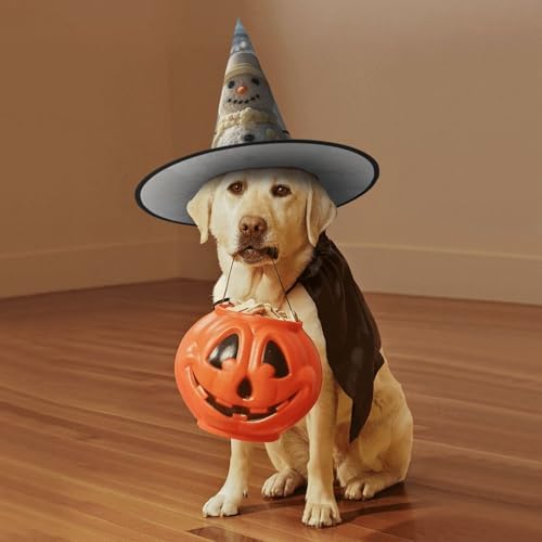 Witch Hats Halloween Costume Cone Wizard Hat for Adults and Kids