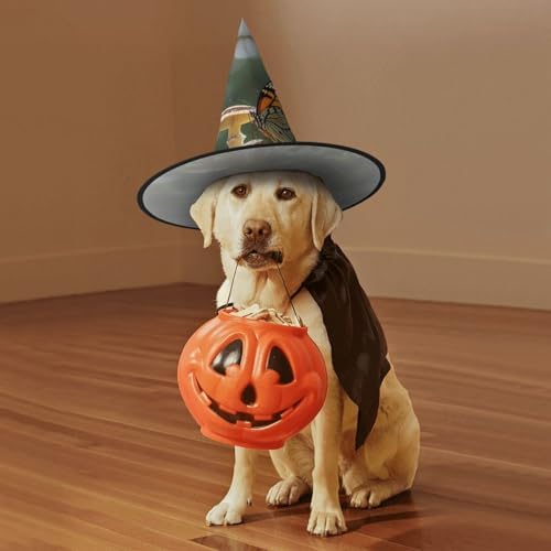 Witch Hats Halloween Costume Wizard Butterfly Mushroom Hats