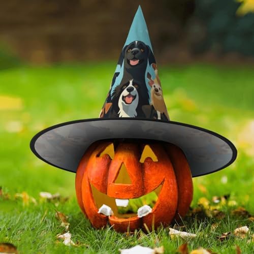 Witch Hats Halloween Costume for Dogs and Adults