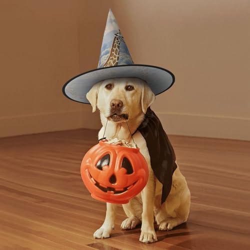 Witch Hats Halloween Cone Wizard Hat for Adults 1