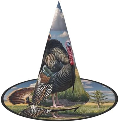 Witch Hats for Halloween and Christmas Costumes