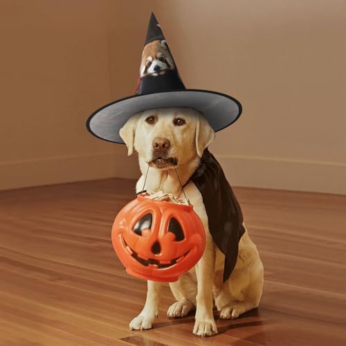 Red Pandas Witch Halloween Cone Hat Costume