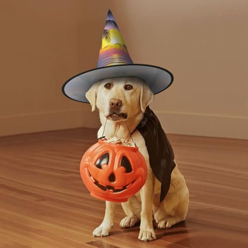 Witch Hats Halloween Cone Wizard Hat Tropical Beach