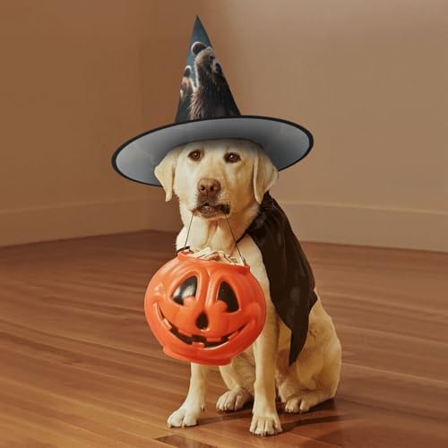 Witch Hats Halloween Cone Wizard Bear Costume Headwear
