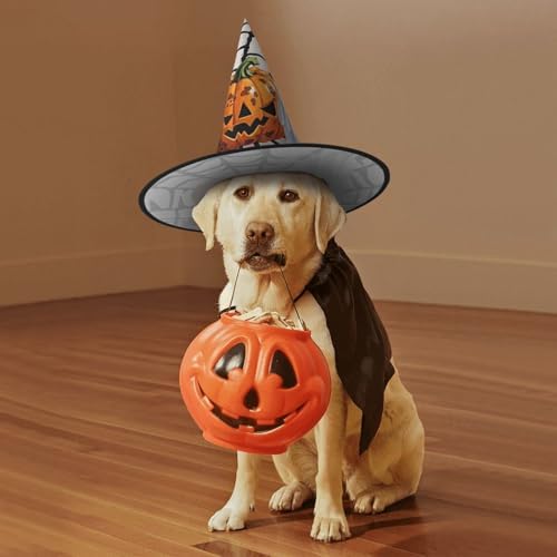 Witch Hats Halloween Costume Wizard Pointed Hat
