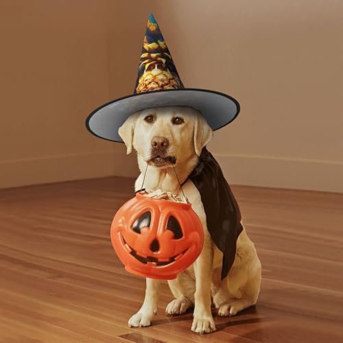 Flickering Pineapple Witch Halloween Costume Hat for Adults