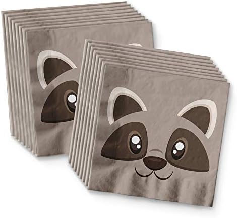 Raccoon Themed Party Plates Napkins Cups Set for 16