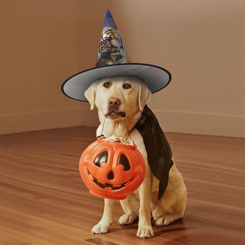 Tiger Colorful Sunset Witch Hat Halloween Costume