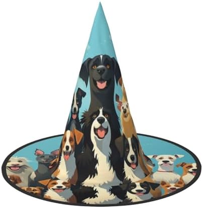 Witch Hats Halloween Costume for Dogs and Adults