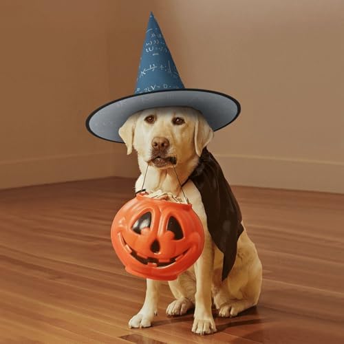 Witch Hats Halloween Cone Wizard Hat Costume