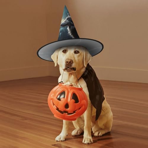 Witch Hats Halloween Cone Wizard Hat Costume For Adults