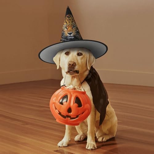 Witch Hats Halloween Costume Cosplay Cone Wizard Hat