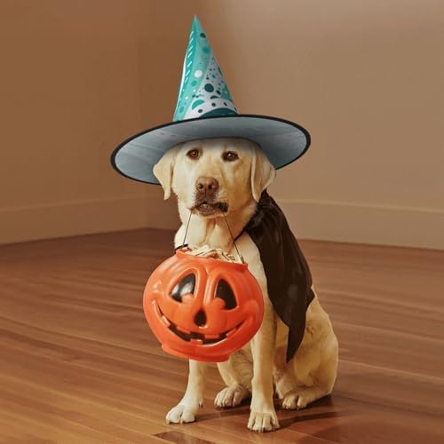 Turquoise White Circle Witch Halloween Costume Hat