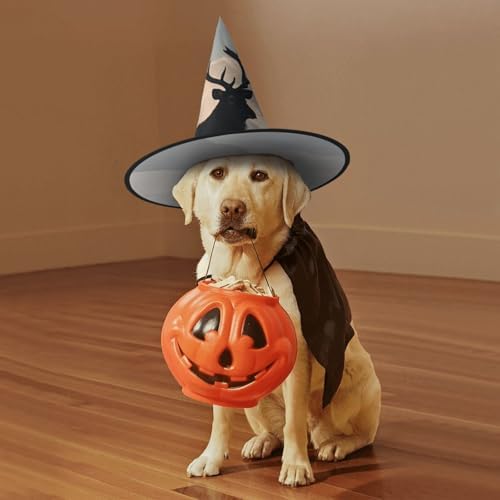 Witch Hats Halloween Cone Wizard Hat Costume Cosplay 1