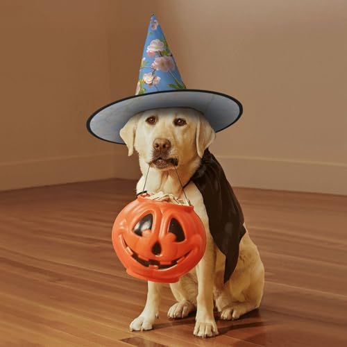 Cherry Blossom Witch Hats Halloween Costume