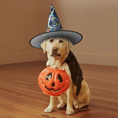 Witch Hats Halloween Wizard Costume Cosplay Party Headwear