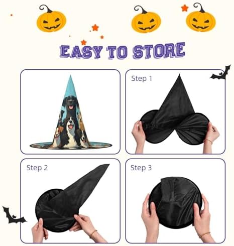 Witch Hats Halloween Costume for Dogs and Adults