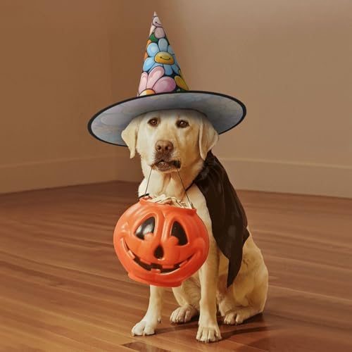 Witch Hats for Halloween Costume Party Cosplay