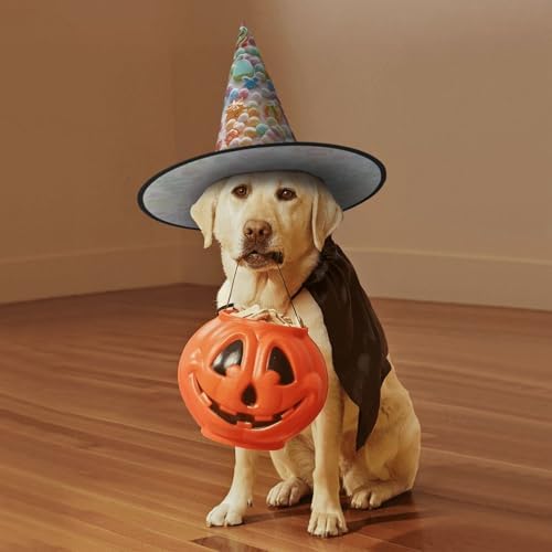 Colorful Candy Witch Halloween Costume Hat