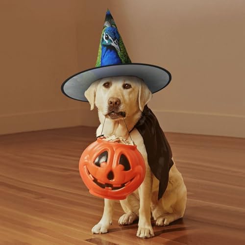 Blue Peacock Witch Hat Halloween Costume Headwear