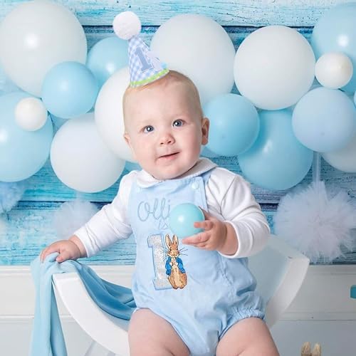 Petter Rabbit 1st Birthday Hat for Boys