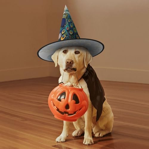 Peacock Pattern Witch Halloween Cone Hat for Adults