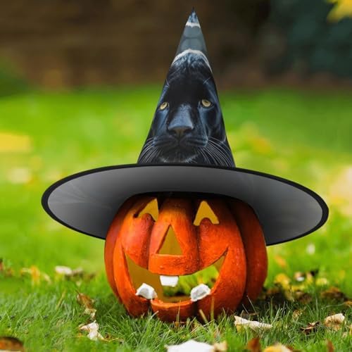 Witch Hats Halloween Cone Wizard Hat Animal Panther Costume