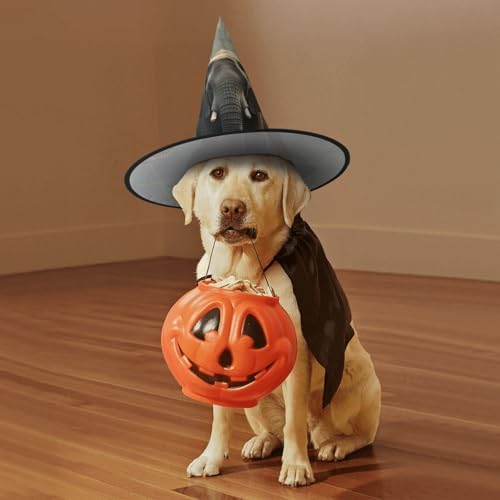 Witch Hats Halloween Cone Wizard Elephant Bridge Costume Hat