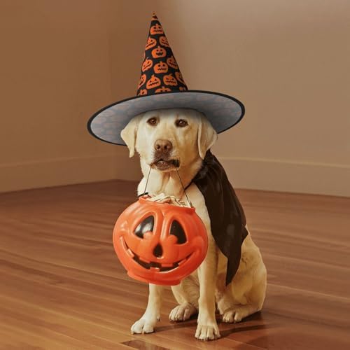 Witch Hats Halloween Cone Wizard Costume Hat for Adults