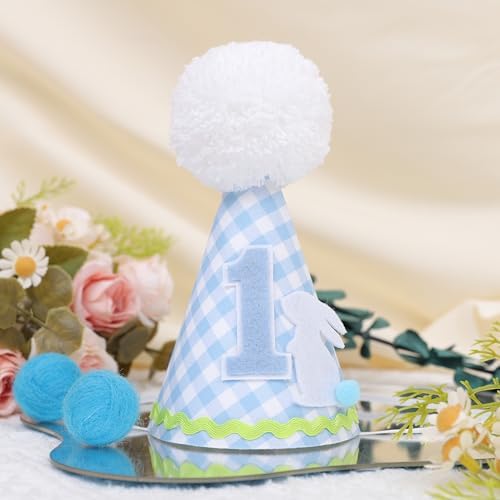 Petter Rabbit 1st Birthday Hat for Boys