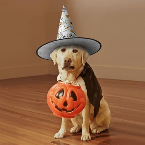 Witch Hats Halloween Costume Cone Wizard Hat for Adults