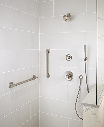 Delta Faucet Trinsic Single Spray Wall Mount Hand Shower with Hose