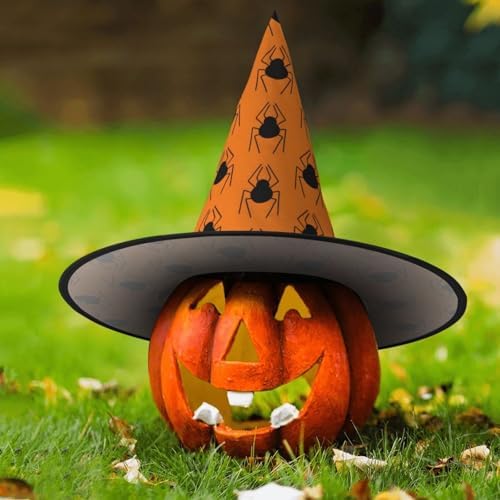 Witch Hats Halloween Cone Wizard Hat Black Spider Pattern Costume
