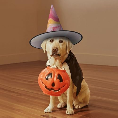 Witch Hats Halloween Cone Wizard Hat Yellow Marble Costume