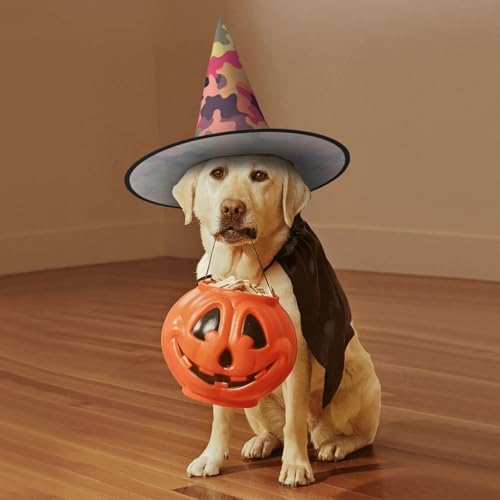 Witch Hats Halloween Cone Wizard Costume Hat 1