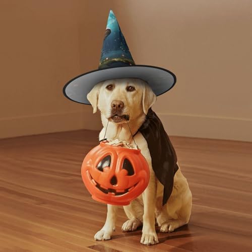 Fantasy Forest Mushroom Witch Costume Hat