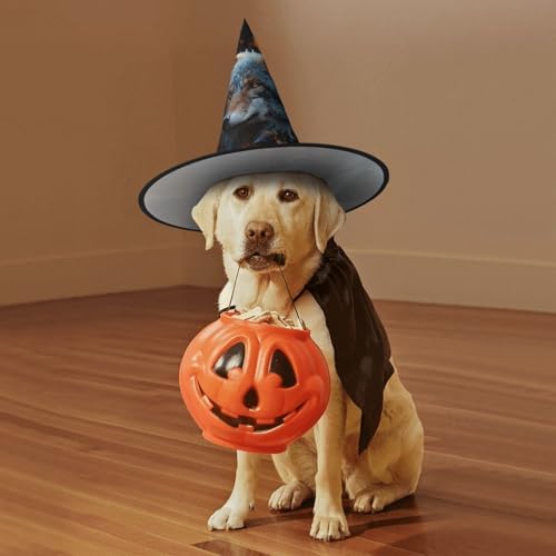 Witch Hats Halloween Cone Wizard Costume Hat for Adults 1