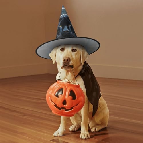 Witch Hats Halloween Cone Wizard Hat Animal Panther Costume
